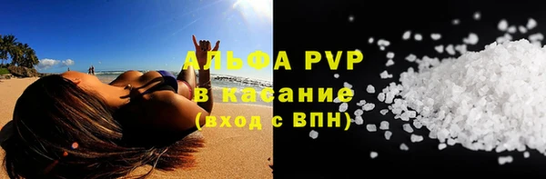 гашик Нея