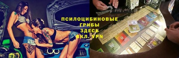 гидра Алексин