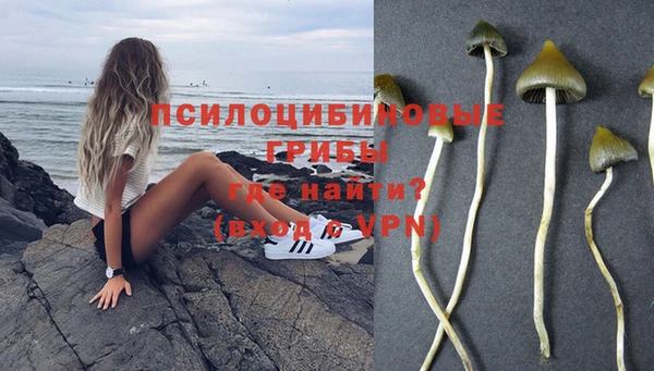 марки lsd Новозыбков