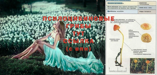 MESCALINE Нефтегорск