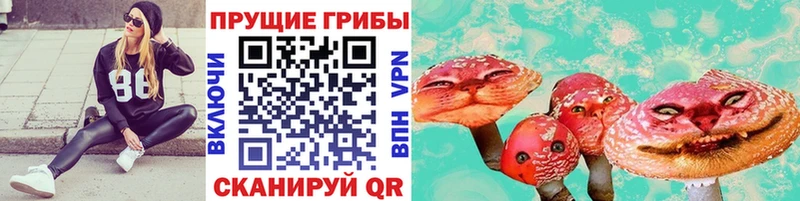 Псилоцибиновые грибы Magic Shrooms  наркотики  Ковылкино 
